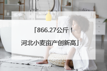 866.27公斤！河北小麦亩产创新高