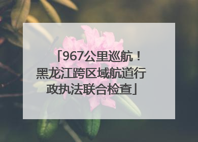 967公里巡航！黑龙江跨区域航道行政执法联合检查