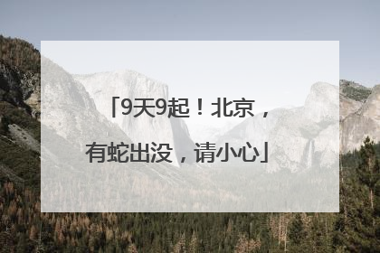 9天9起！北京，有蛇出没，请小心