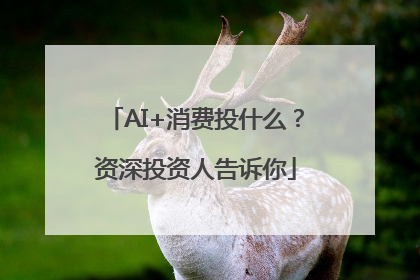 AI+消费投什么？资深投资人告诉你