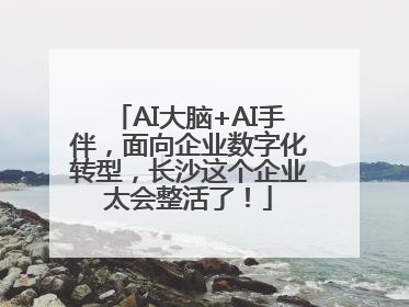 AI大脑+AI手伴，面向企业数字化转型，长沙这个企业太会整活了！