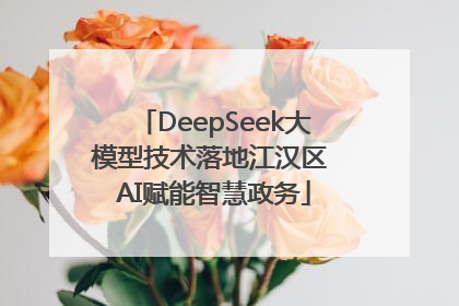 DeepSeek大模型技术落地江汉区 AI赋能智慧政务